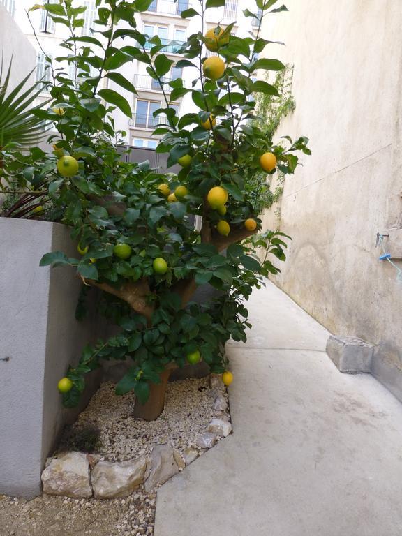 L'Orangeraie Et La Palmeraie D'Endoume Marseille Exterior photo